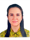 Res. Asst. Dr. Gulin ELIBOL SECIL